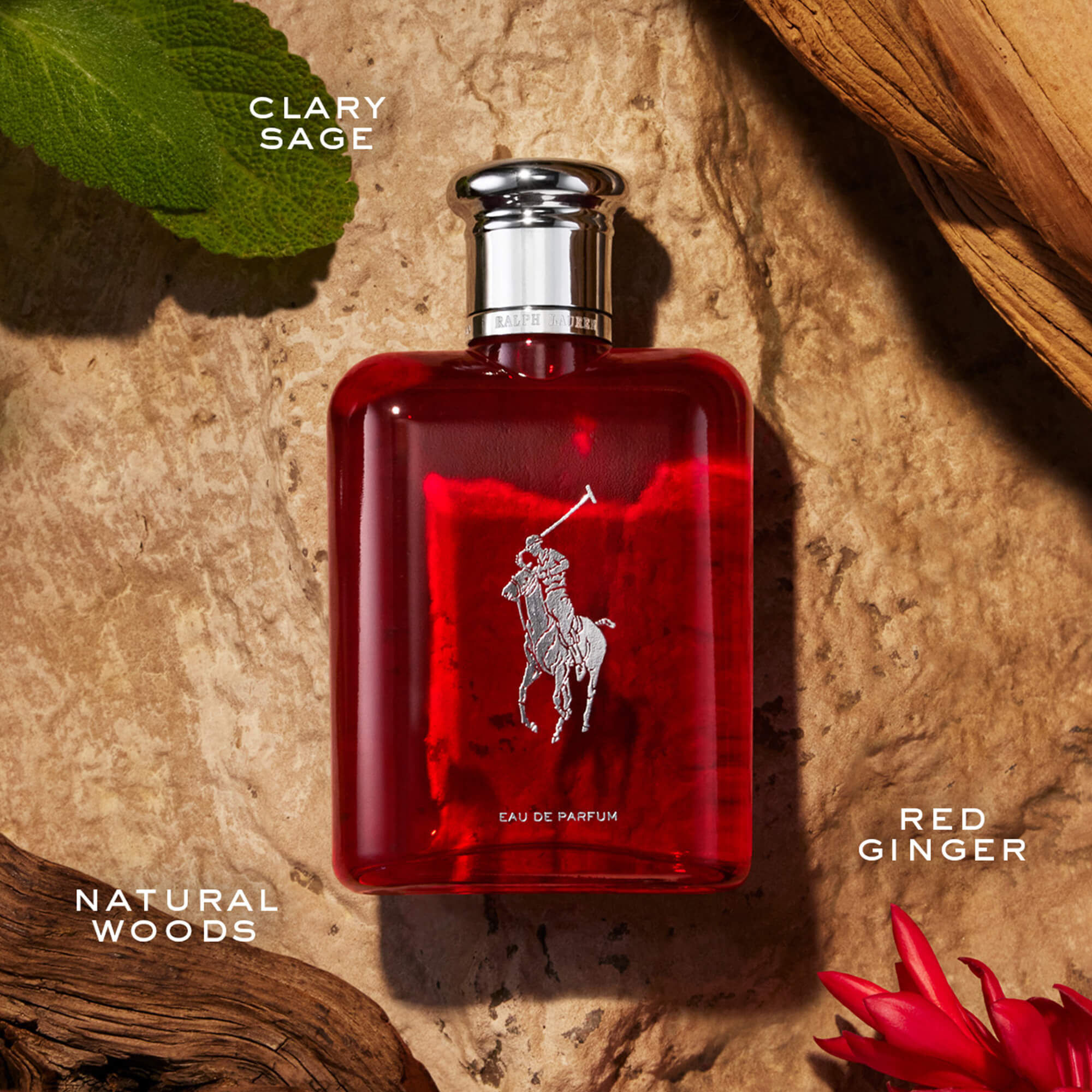 Cologne similar to polo red sales