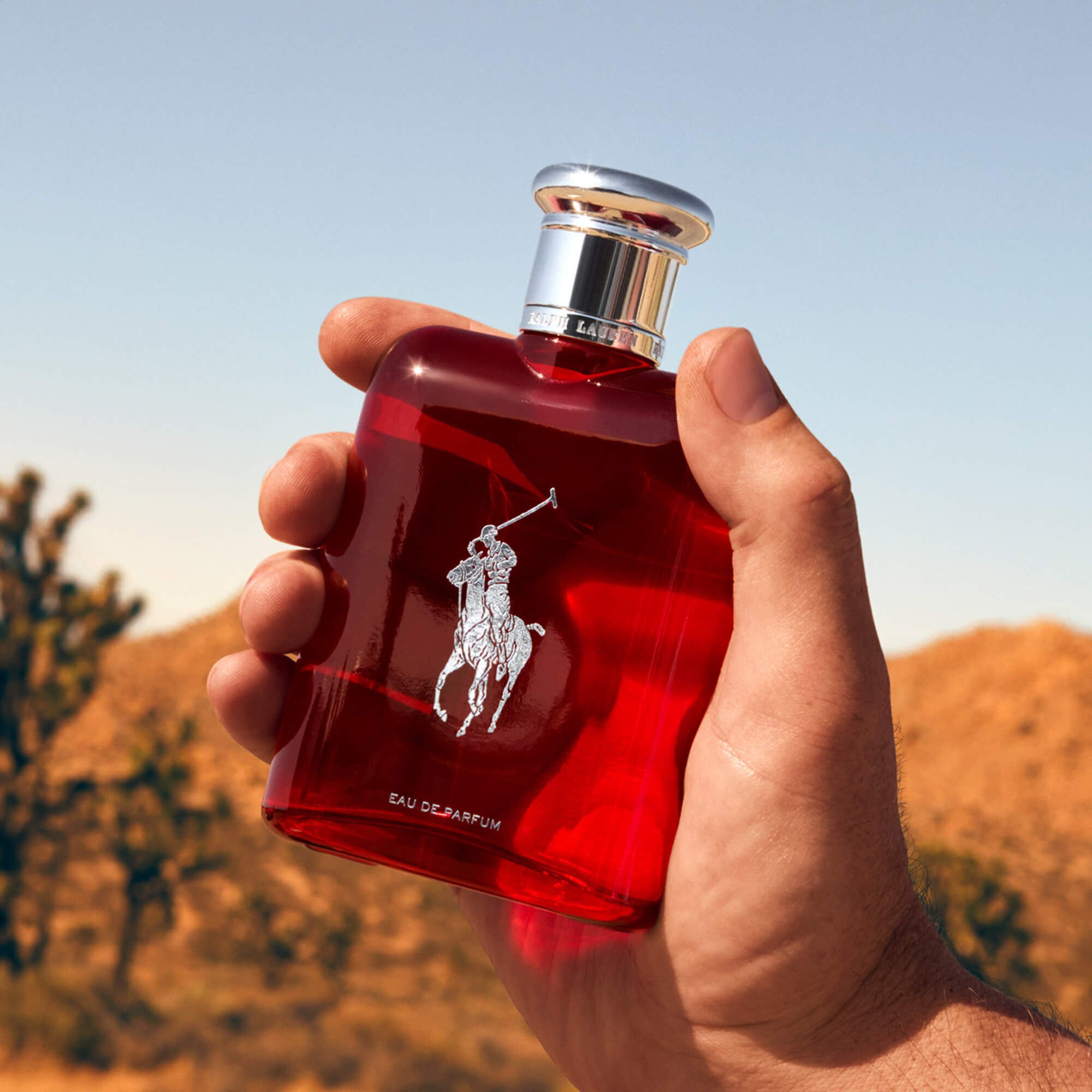 Ralph lauren polo 2025 red eau de parfum