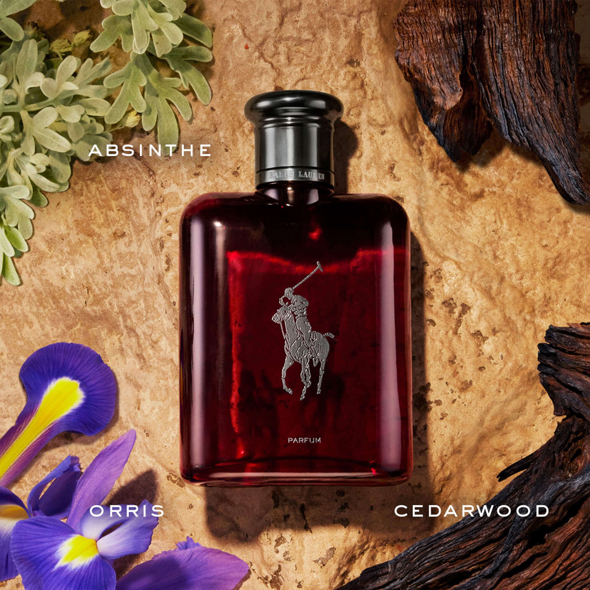 Polo red cologne new arrivals set