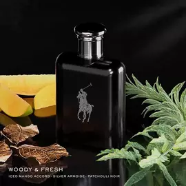 Polo Black EDT 3-Piece Gift Set