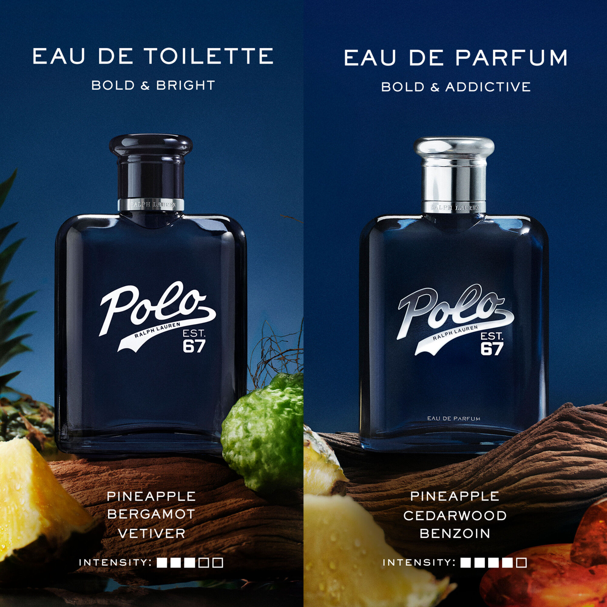 Polo 67 Eau de Parfum Duo Gift Set