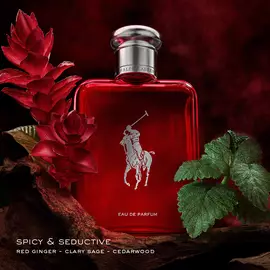 Polo Red Eau de Parfum