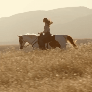 Romance Eau de Parfum Intense