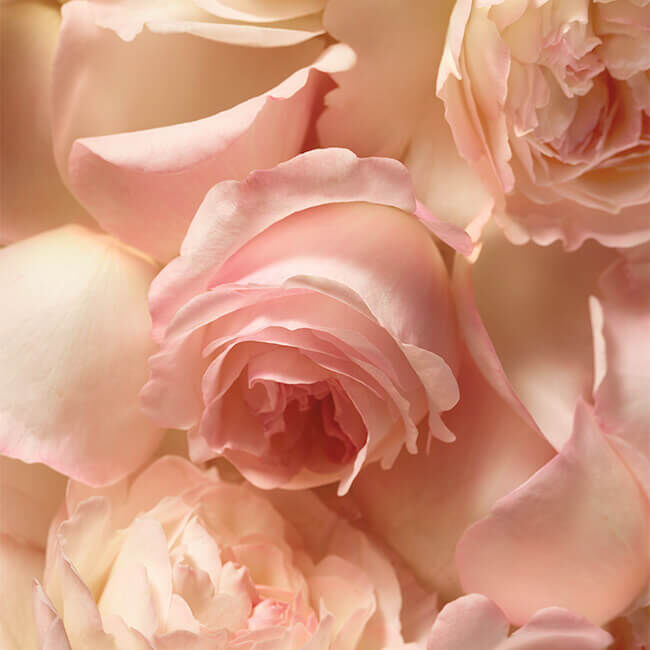 Romance Eau de Parfum 3-Piece Set Ralph Lauren Fragrances