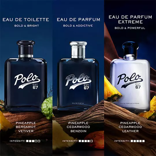 Ralph Lauren Fragrances Polo 67 Comparison Chart