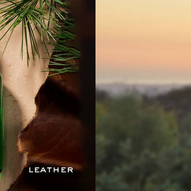 Ralph Lauren Fragrance Polo Green Collection Polo EDT Clp Fragrance Tile