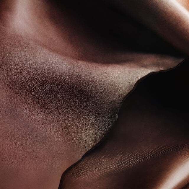 Ralph Lauren Fragrances Polo 67 Eau de Parfum Extreme Launch Ingredient Tile LEATHER ACCORD 