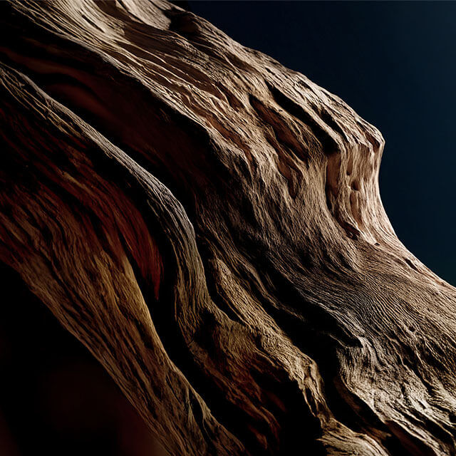 Ralph Lauren Fragrances Polo 67 Eau de Parfum Extreme Launch Ingredient Tile CEDARWOOD