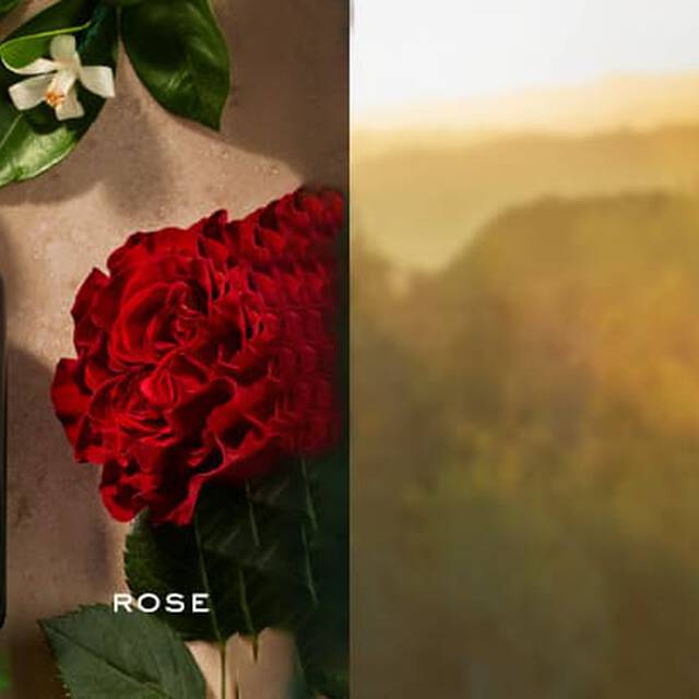 Ralph Lauren Fragrance Polo Green Collection Polo Oud Clp Fragrance Tile