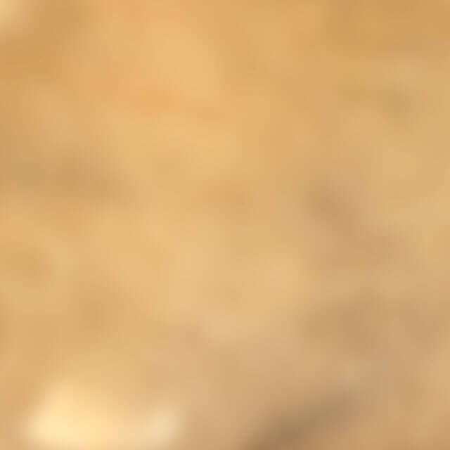 ralph lauren fragrances polo earth collection