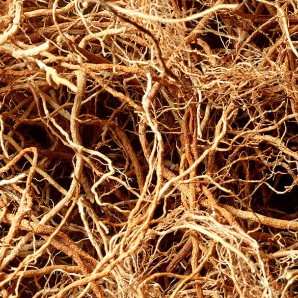 Safari For Men Eau de Toilette