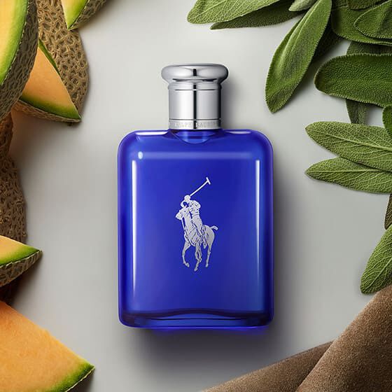 ラルフローレン ポロ ブルー オードトワレ EDT125ml POLO BLUE 楽天市場】ラルフローレン ポロブルー EDT 125ml : サンワ