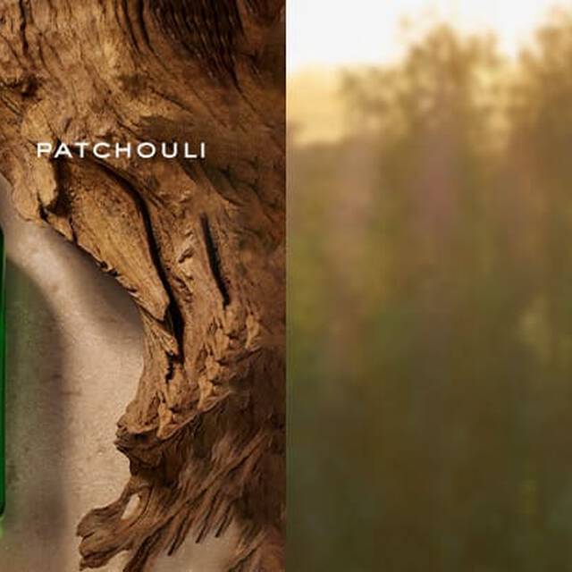 Ralph Lauren Fragrance Polo Green Collection Polo Cologne Intense Clp Fragrance Tile