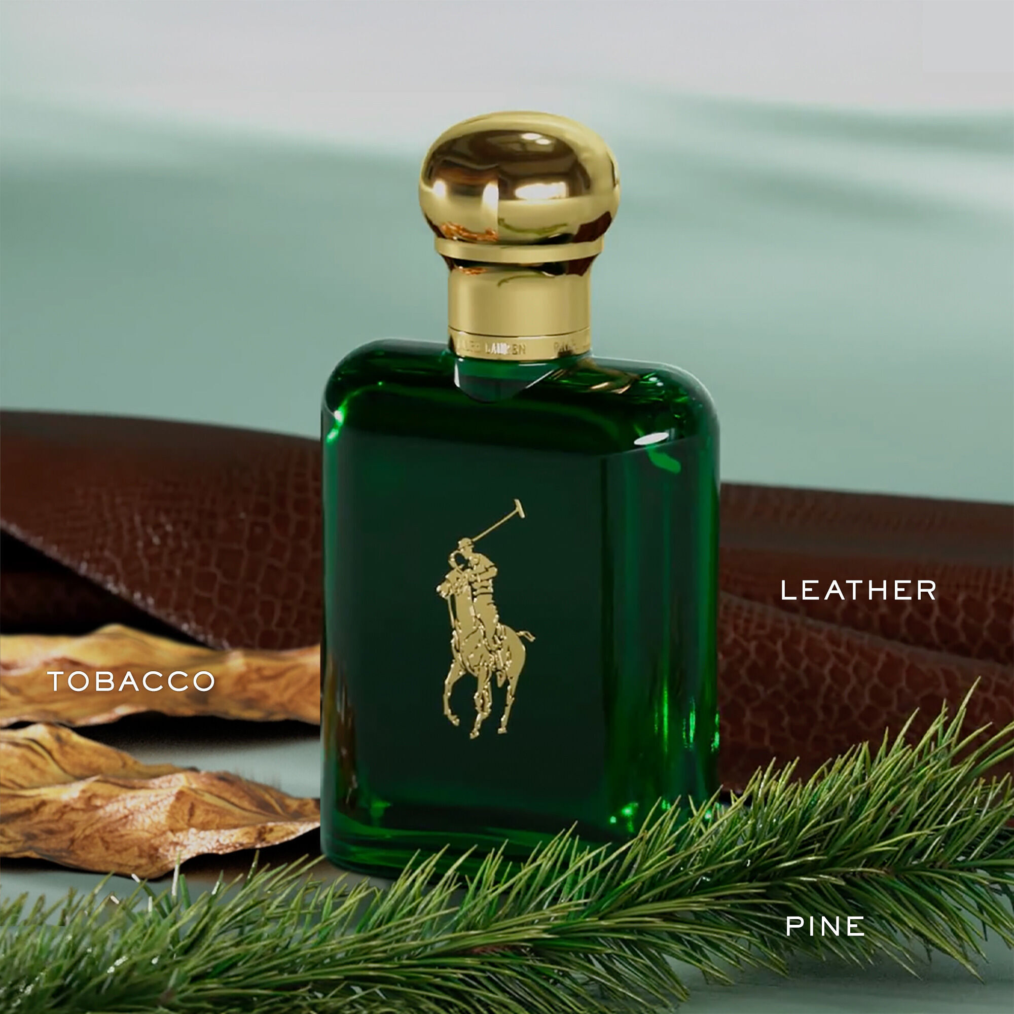 Polo Eau de Toilette