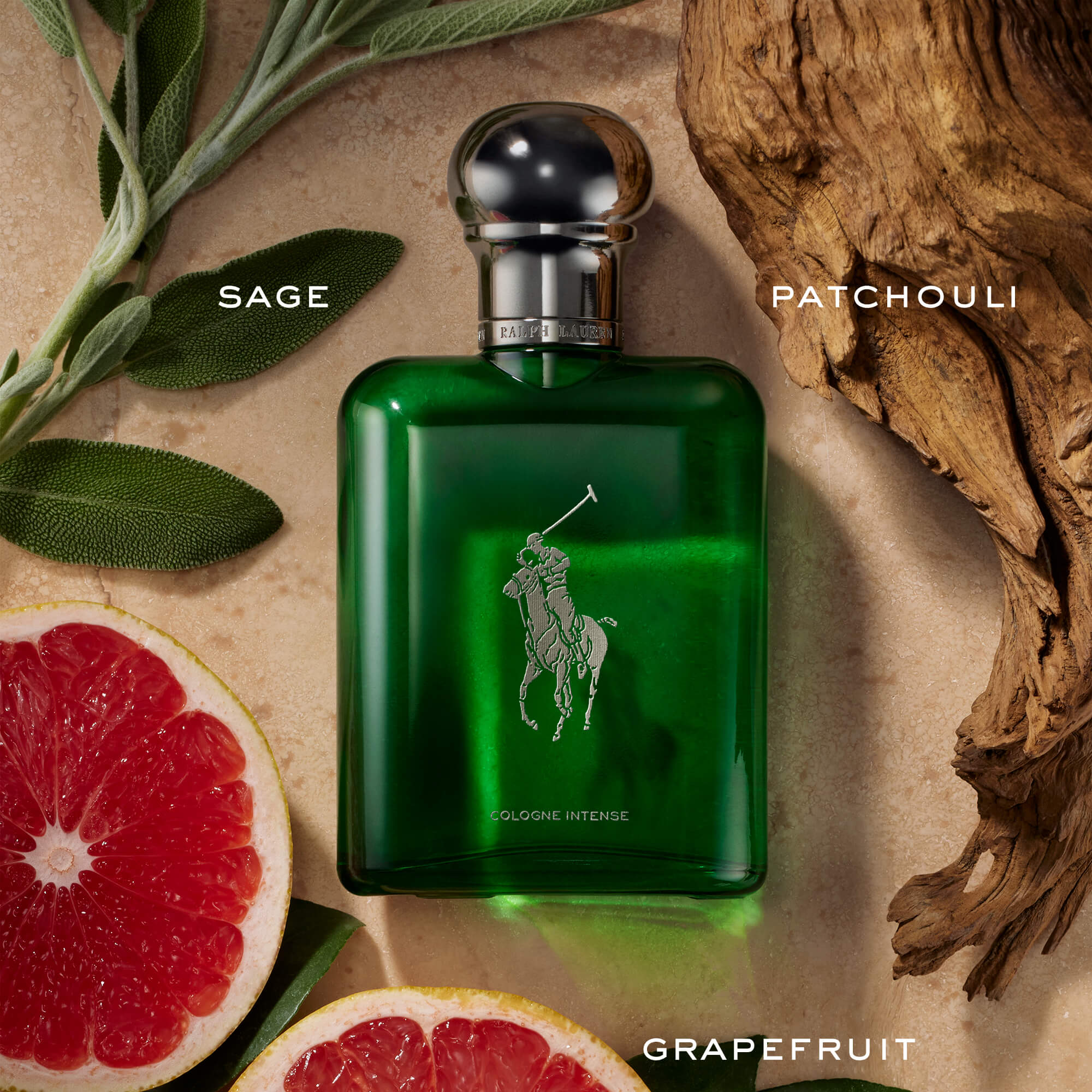 Polo Cologne Intense