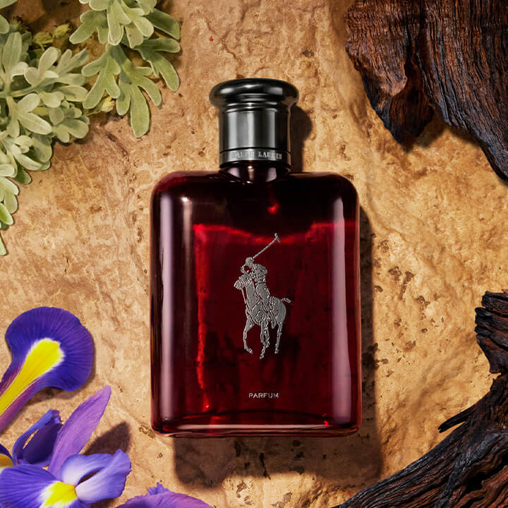 Polo Red Parfum Indredients