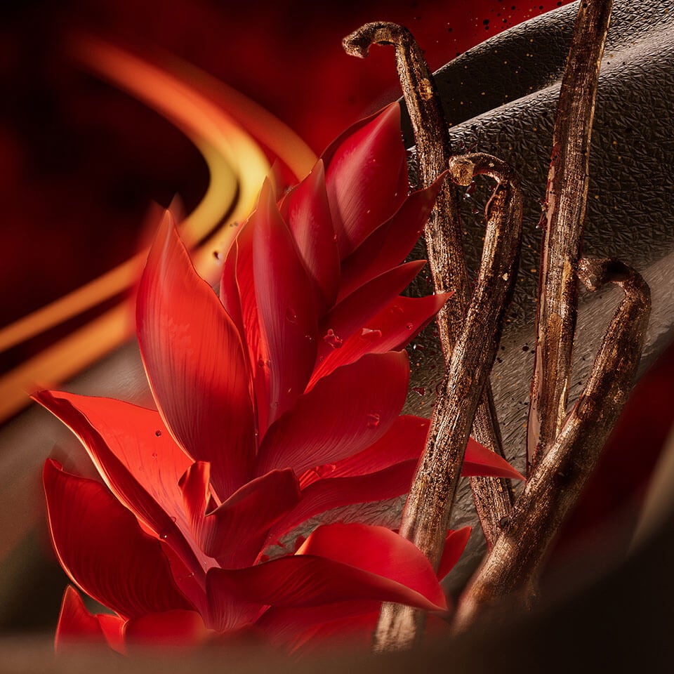 Polo Red Eau de Parfum Extreme Ingredients Tab