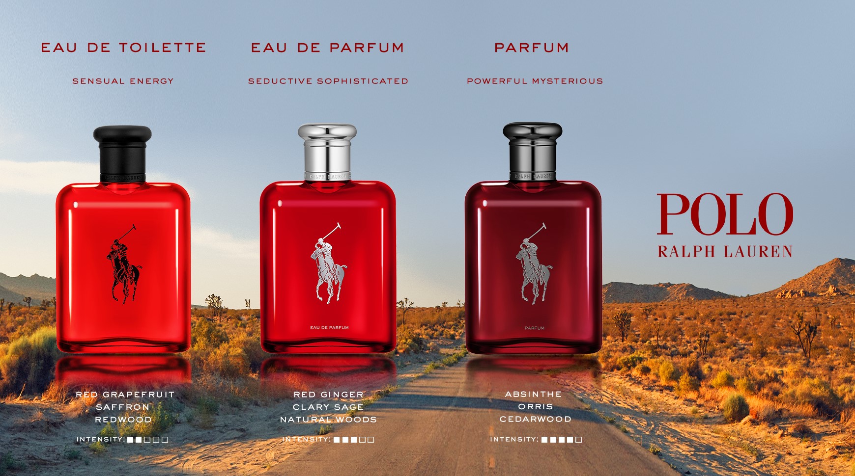 Shopping the Best New Perfume Scent Collections: Ralph Lauren