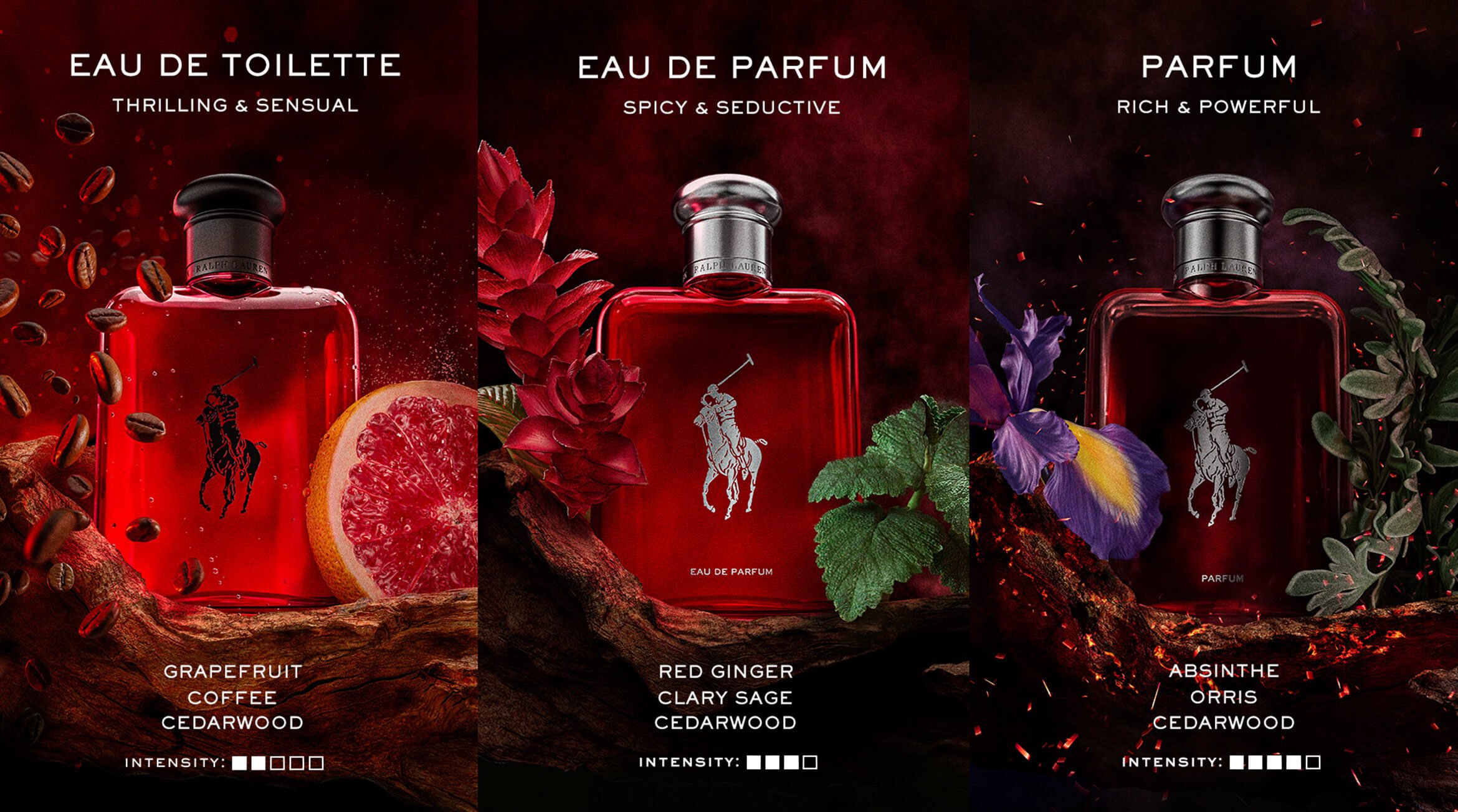 Ralph lauren polo red rush fragrance top