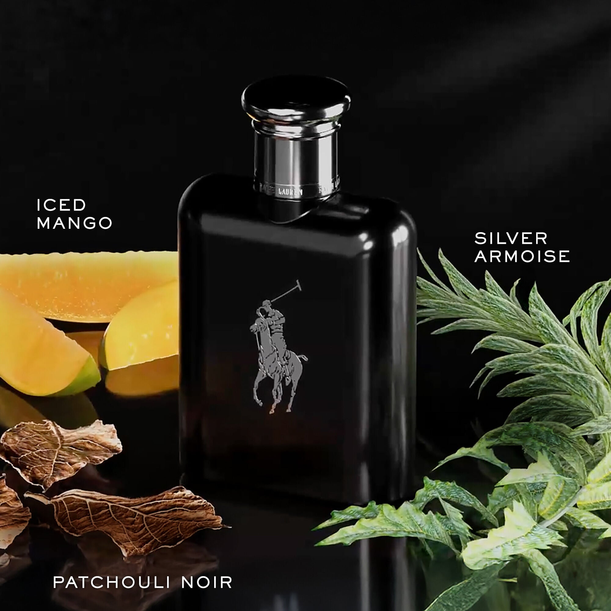 Polo Black EDT Men's Fragrance Trio | Ralph Lauren Fragrance